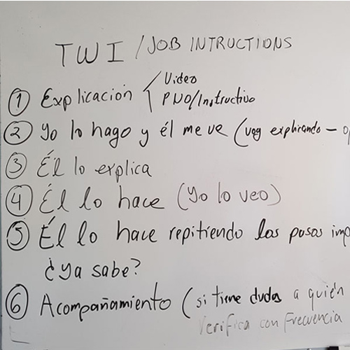 Job Instructions / TWI (Training Within Industry) Experiencia